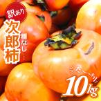 訳あり 10kg