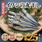 脂の乗ったいわしの丸干し 25本セット