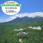 ホテルサンバレー那須 宿泊利用券 3,000円分
