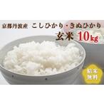 令和6年産 新米 丹波産 きぬひかり こしひかりセット