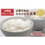 令和6年産 新米 丹波産 きぬひかり 玄米 10kg