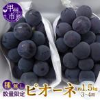 種なしピオーネ 約1.5kg