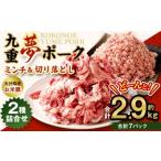 ブランド豚 九重夢 ポーク ミンチ 切り落とし 約2.9kg
