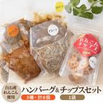 れんこんハンバーグとれんこんチップスセット