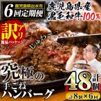 i689 黒毛和牛の究極の手ごねハンバーグ