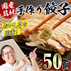 i690 豚肉使用 手作り餃子50個セット 10個×5パック