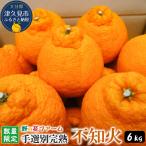 野の花ファーム 不知火 6kg