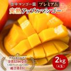 田中マンゴー園のプレミアム 完熟 アップルマンゴー 2kg