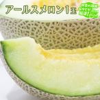 アールスメロン 1個