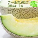 アールスメロン 1個