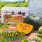 かぼちゃ 富良野産 くりゆたか カボチャ 山本農園