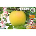 りんご シナノゴールド 訳あり 5kg