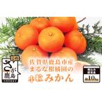 2026年11月上旬~発送 ”わーがと”鹿島産がばい訳アリみかん …