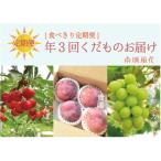 ふるさと納税 【先行予約】【食べきり定期便】年3回くだもの定期便セットC(さくらんぼ、貴陽、シャインマスカット) ALPAJ021 山梨県南アルプス市