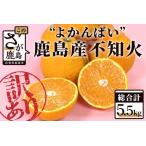 ”よかんばい”鹿島産不知火 約5.5kg