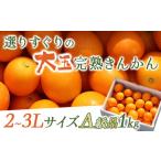選りすぐりの大玉完熟きんかん1kg_K034-001
