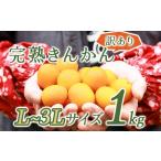 完熟きんかん1kg_K034-002