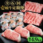 壱岐牛 肉 定期便 黒毛和牛 ハンバーグ ステーキ