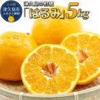 みかん 津久見みかん はるみ 5kg