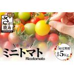予定 完熟ミニトマト 1kg
