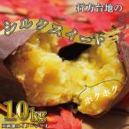 ふるさと納税 【緊急支援品】 訳あり 無選別 行方台地のさつまいも 熟成 シルクスイート 約10kg 【2026年4月下旬より順次発送】｜シルクスイート.. 茨城県行方市