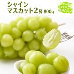 シャインマスカット 800g