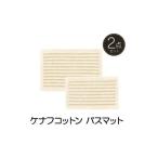 バスマット ケナフ 素足快適 2点セット 天然