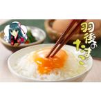 fu.... налог перо последующий Tama .30 шт (27 шт + трещина возмещение 3 шт ) сырой яйцо .. кислород сдерживание . кислота . сила астаксантин DHA прекрасный тест .. здоровье техническое обслуживание Akita префектура перо после блок 