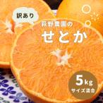 せとか 訳あり 萩野農園のせとか 5kg
