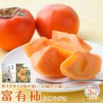 果物類 柿 748. JA 富有柿 赤秀2L 3kg箱 12玉