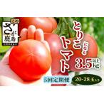 予定 とりこになるトマト 3.5kg以上