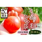 予定 とりこになるトマト 3.5kg以上