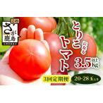 予定 とりこになるトマト 3.5kg以上