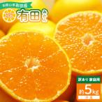 有田みかん 約5kg