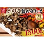 きのこの詰め合わせ Mサイズ 1.5kg