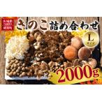 きのこの詰め合わせ Lサイズ 2kg