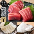 海の幸 詰め合わせセット1 黒マグロ ソデイカ