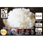 無洗米 さがびより 20kg