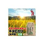 令和7年度産 キヌヒカリ 玄米20kg 海藻施用※