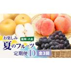 ふるさと納税 福岡八女 お楽しみ夏のフルーツ定期便D|<配送不可:北海道・沖縄・離島> 072-T029 福岡県八女市