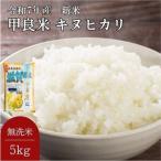 キヌヒカリ 無洗米 5kg