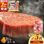 長崎和牛 ヒレステーキ 計750g