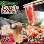 長崎 うずしおポーク 焼肉 しゃぶしゃぶ セット 1.4kg