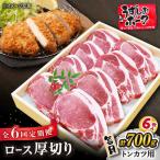 長崎うずしおポーク ロース とんかつ用 計4.2kg