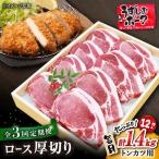 3回定期便 長崎うずしお ポーク ロース 700g