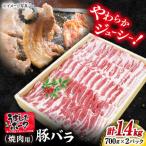 長崎うずしおポーク 焼肉 約1.4kg