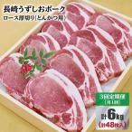 長崎うずしおポーク ロース とんかつ用 計6kg