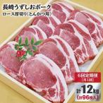 長崎うずしおポーク ロース とんかつ用 計12kg