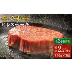 3回定期便 長崎和牛 ヒレステーキ 750g