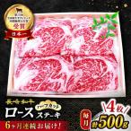 6回定期便 長崎和牛 ロースステーキ 計500g